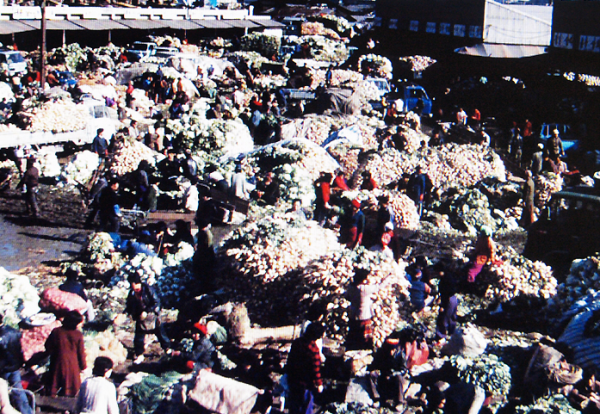 1970년대 용산 김장 시장의 모습 <출처:국가기록정보원>