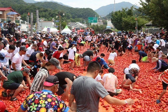 


▲관광객들이 토마토 축제를 즐기고 있는 모습



