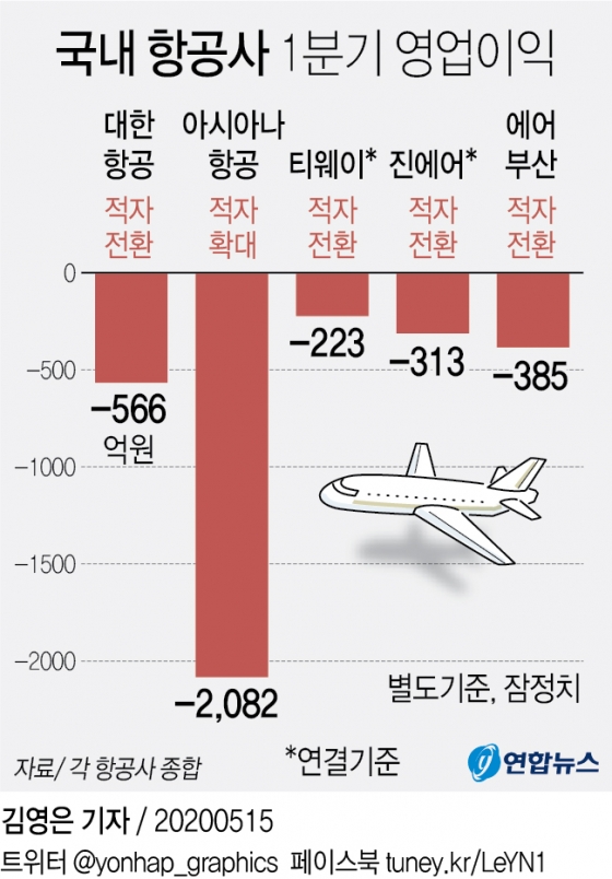 국내 항공사