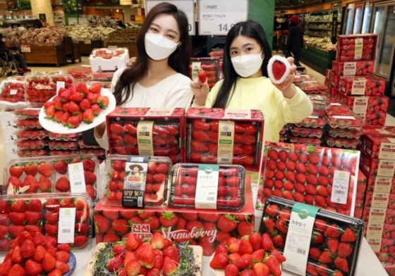 딸기 과일 할인마트 유통