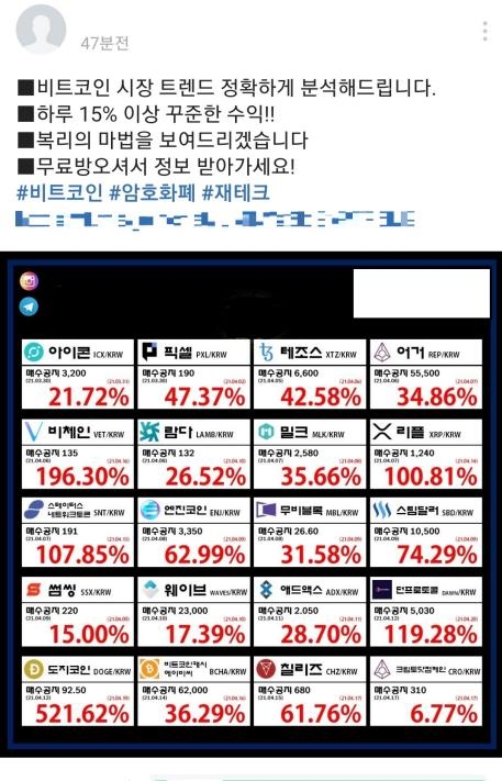 '코인 리딩방' 홍보글 인터넷 캡처