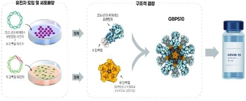 코로나19 백신 후보물질 GBP510 SK바이오사이언스 SK바사