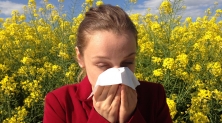 꽃가루 알레르기 콧물 비염