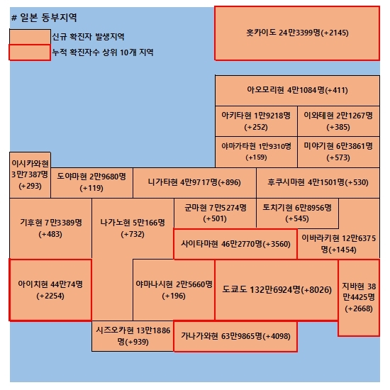 11일 일본 코로나 확진자 현황