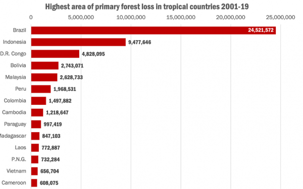 열대 국가에서 원시 산림 손실이 가장 많은 지역  [자료=MONGABAY.COM]