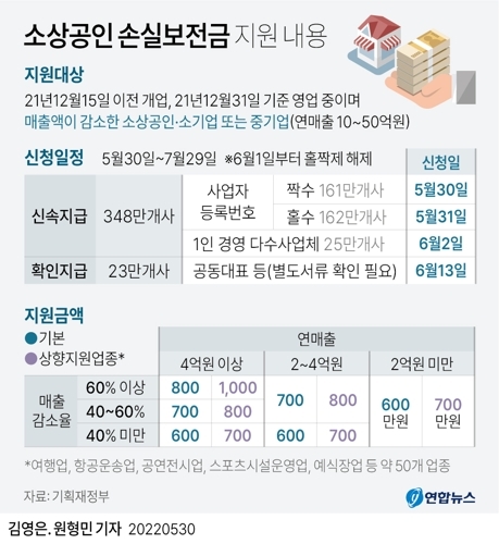 손실보전금 