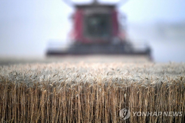 프랑스 밀 수확 모습 [AFP 연합뉴스 자료사진. 재판매 및 DB 금지]