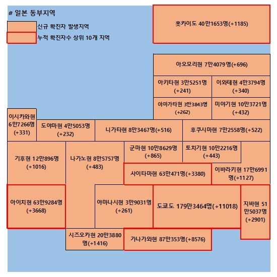 20일 일본 코로나 확진자 현황