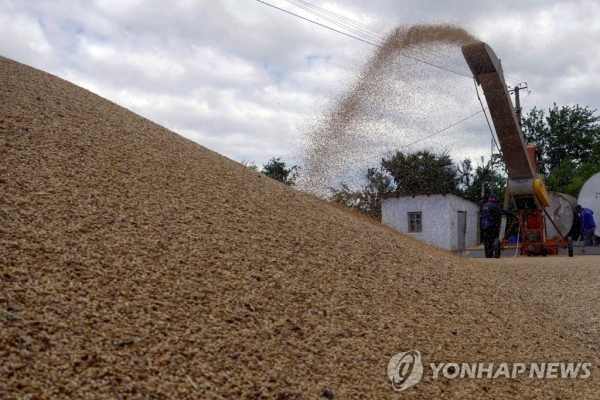 오데사항 근처에 보관 중인 밀 [로이터=연합뉴스 자료사진. 재판매 및 DB 금지]