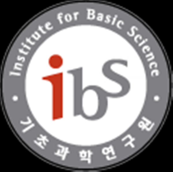 IBS 로고