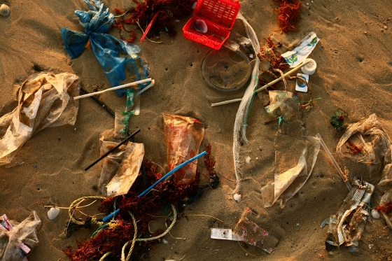 썩지 않고 환경오염을 일으키는 플라스틱 쓰레기들