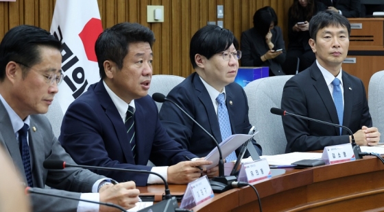 공매도 관련 발언하는 정책위의장