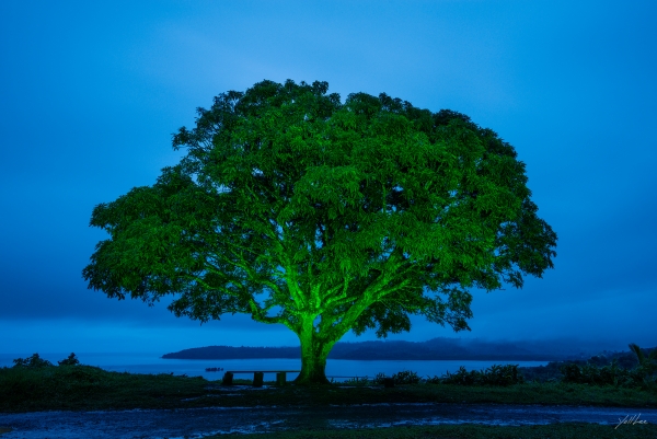 이열(Yoll Lee) 사진전 '녹색낙원_피지, Green paradise_Fiji'