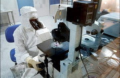 EU, 줄기세포 연구 재정 지원 결정 EU, 줄기세포 연구 재정 지원 결정