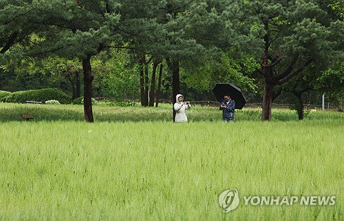 전국 5mm 미만 약한 비와 평년 수준 기온 분포, 대체 공휴일 연휴 후반부 강수 확대 주의