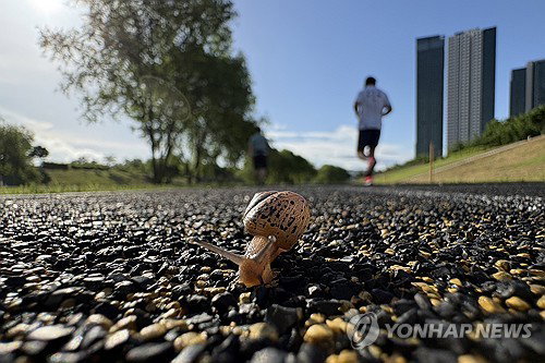 부처님오신날 전국 맑음 속 낮 최고 28도 기록, 내륙 15도 안팎 극심한 일교차 주의