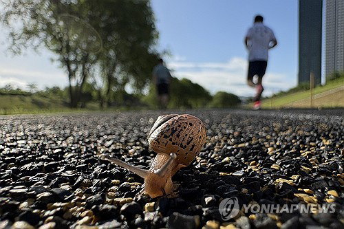 충북 내륙 초여름 기온 28도 육박... 큰 일교차 속 아침 안개 및 교통안전 주의