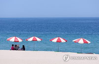 부처님오신날 강원 내륙 28도 육박, 큰 일교차와 짙은 안개 속 교통안전 비상