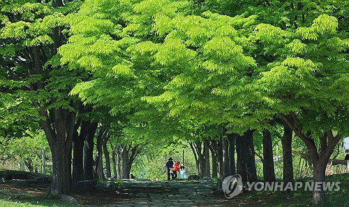 전북 전역 오후 소나기 예보와 낮 최고 29도 기온 분포, 서해상 물결 안정세 유지