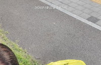 민주주의 근간 흔드는 '현수막 테러'… 대구 여야 후보 홍보물 잇단 훼손에 경찰 수사 착수