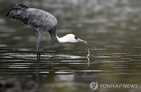 울산시, 2026년 ‘새 통신원’ 20명 모집…시민 참여형 생태계 감시망 강화한다
