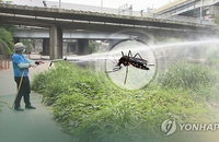 광주 도심 모기 개체 수 1.8배 폭증, 때 이른 고온 현상이 부른 방역 비상