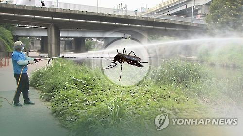 광주 도심 모기 개체 수 1.8배 폭증, 때 이른 고온 현상이 부른 방역 비상