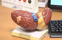 지방간 환자 42% 진단 후 사실상 방치... 당뇨·비만 고위험군 정밀 검사율 12% 불과