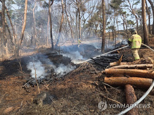 '세계문화유산' 수원화성 노린 팔달산 연쇄 방화범, 1심 징역 5년 중형 선고
