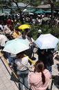 제9회 지방선거 사전투표율 5.9% 집계, 4년 전보다 0.58%p 상승하며 투표 열기 고조