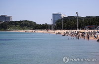 5월 마지막 날 전국 낮 기온 33도 육박, 강원·영남 체감온도 31도 돌파에 온열질환 경보