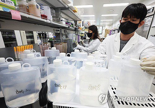 경북 동해안 비브리오패혈증균 첫 검출, 기후변화 속 고위험군 생명 위협 가시화