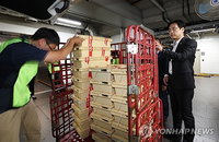 제9회 지방선거 투·개표소 최종 점검 단행, 행안부 "무결성 확보에 총력"