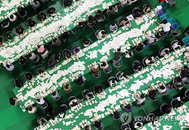 '정치 역동성' 증명한 강원, 지방선거 투표율 64.5%로 역대 2위 기록