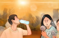 속초시, 기후위기 대응 '복지안전망' 전격 가동... 취약계층 폭염 대책 및 청년 행정 체험 확대