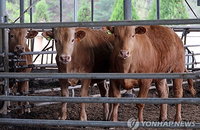 '골칫덩이' 가축분뇨의 에너지 혁명…연간 506억 유연탄 대체 및 온실가스 50만t 감축