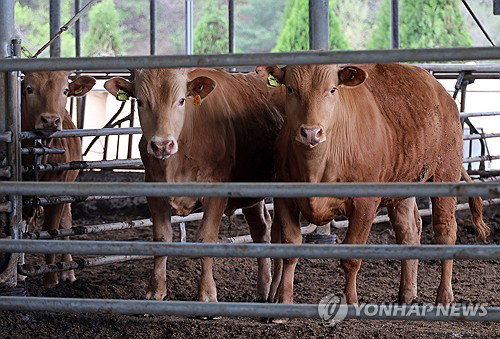 '골칫덩이' 가축분뇨의 에너지 혁명&hellip;연간 506억 유연탄 대체 및 온실가스 50만t 감축