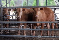 '골칫덩이' 가축분뇨의 에너지 혁명…연간 506억 유연탄 대체 및 온실가스 50만t 감축