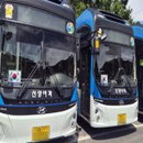 경남 도시, '태극기 물결'…90대 참전용사 시구로 6월 보훈 물든다