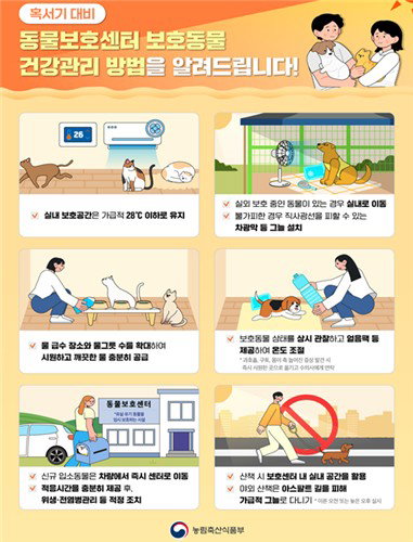 농식품부, 226곳 동물센터 폭염·호우 총력