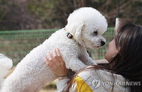 울산시 '무료 반려동물 검진' 26일 현장서 실시