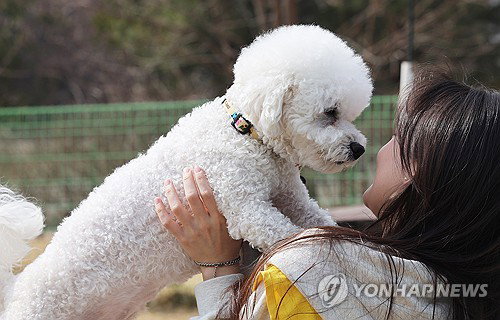 울산시 '무료 반려동물 검진' 26일 현장서 실시
