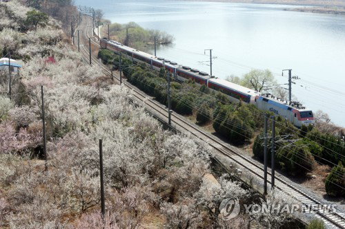 낙동강 벨트 5대1 반전! 양산 2.09%P 박빙, 국민의힘 징검다리 4선