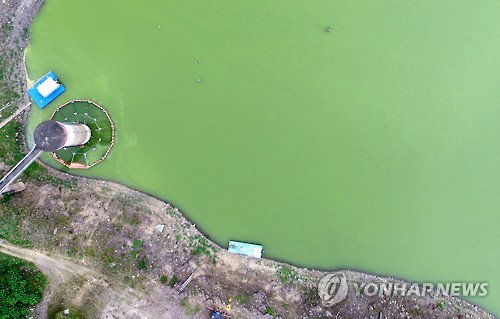낙동강 사연호, 예년보다 3개월 빠른 '조류경보'… 상수원 안전 비상