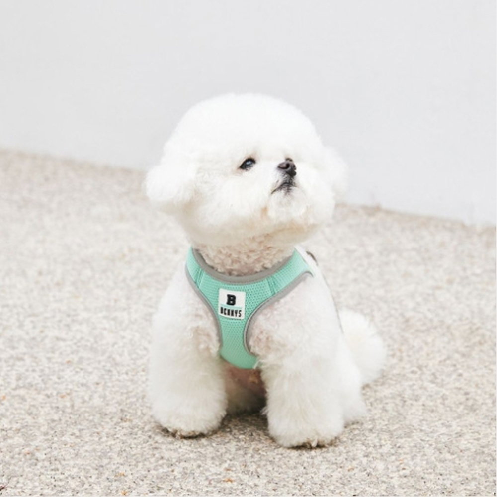 베니즈 베이직 하네스