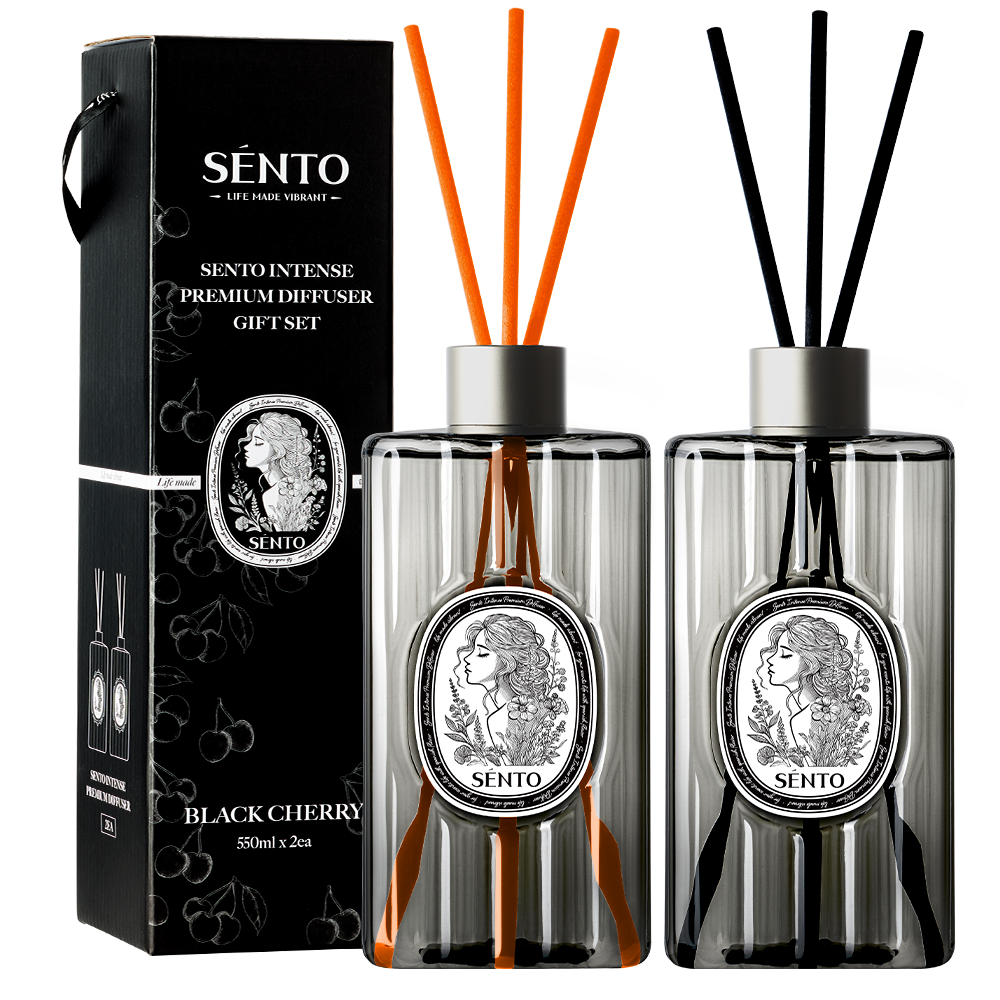 센토 인텐스 프리미엄 대용량 디퓨저 550ml, 블랙체리, 550ml, 2개