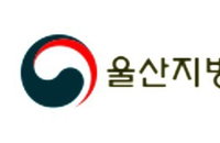 '노란봉투법' 첫 시험대… 현대차 '하청 교섭 거부' 울산지노위 '시정' 파장