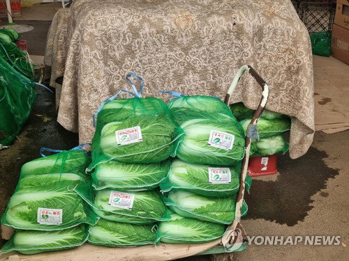 K-농산물 신뢰 수직상승! 필리핀에 첨단 안전관리 전수