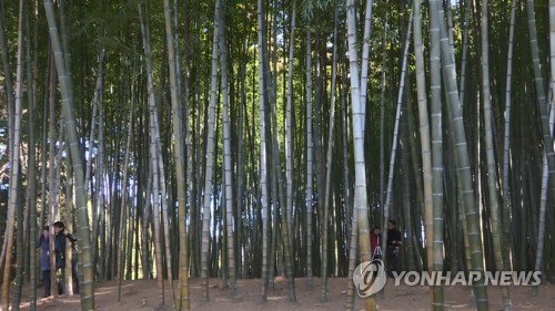 부산 '쏠림 관광' 끝낸다! 16대1 뚫고 '新 명소' 5곳 공개