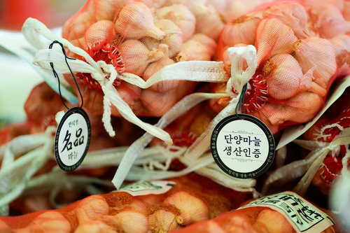 단양마늘축제 20주년, 7월 17일 개막… '명품 향' 기대